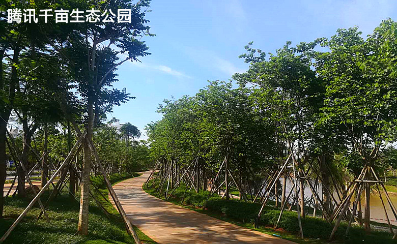 海南自贸区实验区,海南腾讯生态园,海南自贸港实验区