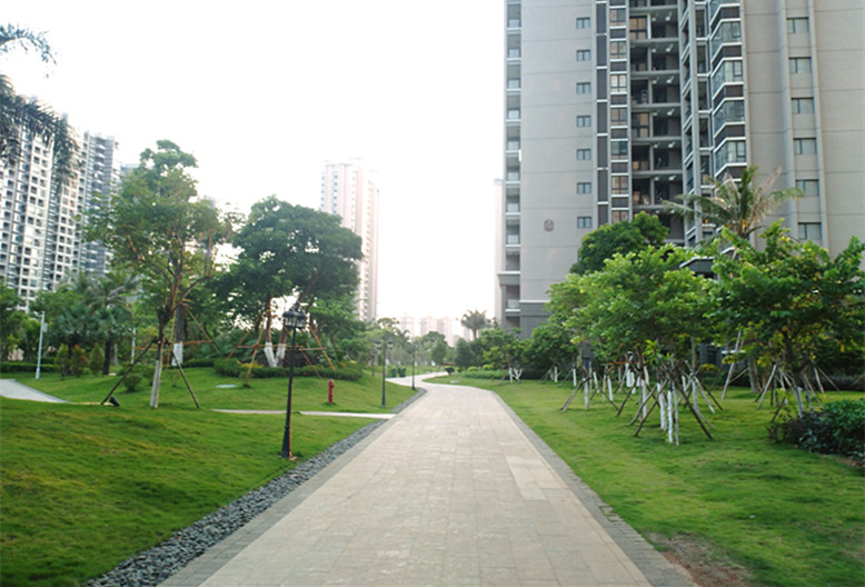 南海之滨康养旅居基地